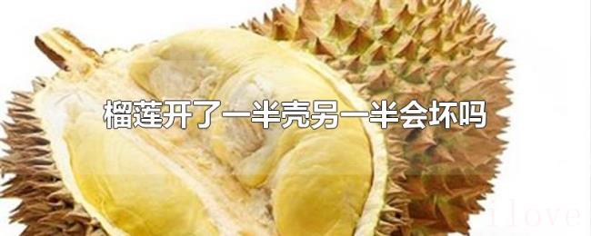 榴莲开了一半壳另一半会坏吗 榴莲开了一半壳另一半会坏吗