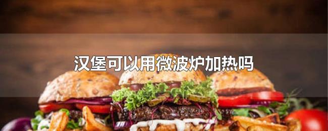 汉堡可以用微波炉加热吗 汉堡可以用微波炉加热吗