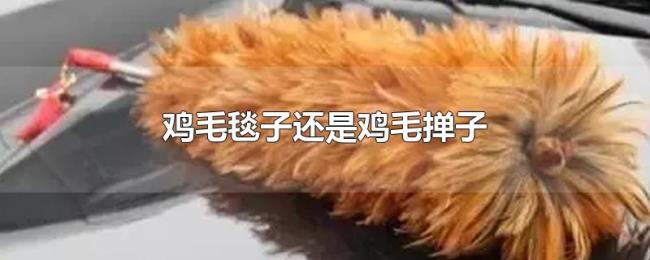 鸡毛毯子还是鸡毛掸子 鸡毛毯子还是鸡毛掸子