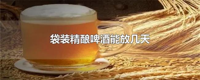 袋装精酿啤酒能放几天