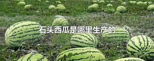 石头西瓜是哪里生产的 石头西瓜是哪里生产的