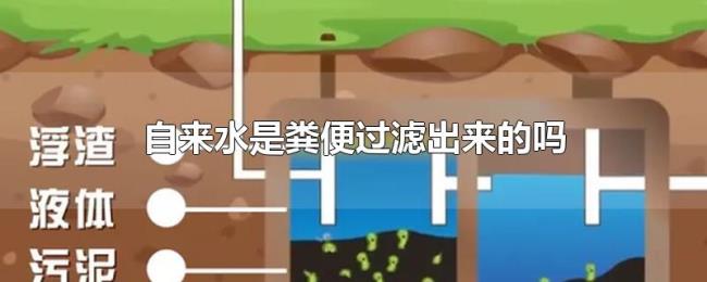 自来水是粪便过滤出来的吗 自来水是粪便过滤出来的吗