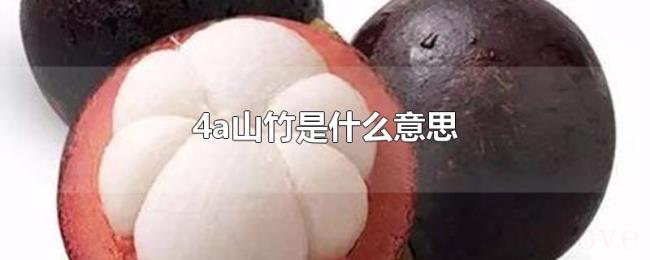 4a山竹是什么意思 4a山竹是什么意思
