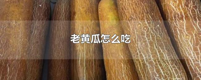 老黄瓜怎么吃 老黄瓜怎么吃