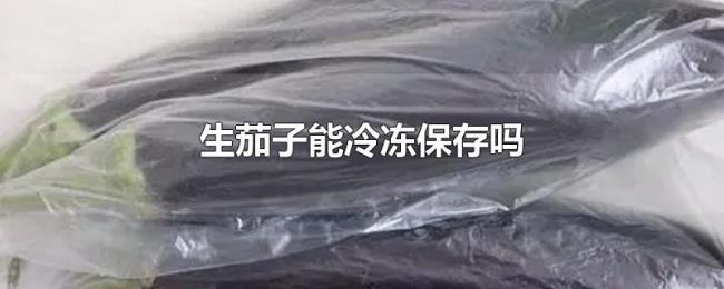 生茄子能冷冻保存吗 生茄子能冷冻保存吗