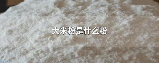 大米粉是什么粉 大米粉是什么粉