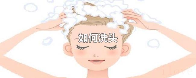 如何洗头 如何洗头