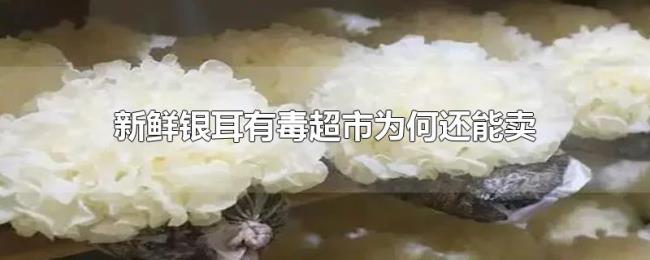 新鲜银耳有毒超市为何还能卖