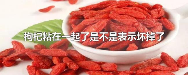 枸杞粘在一起了是不是表示坏掉了