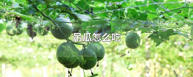 吊瓜怎么吃 吊瓜怎么吃