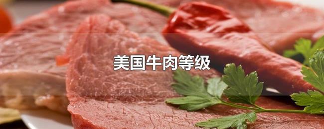 美国牛肉等级