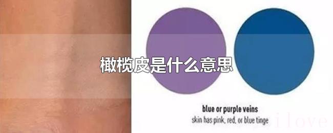 橄榄皮是什么意思