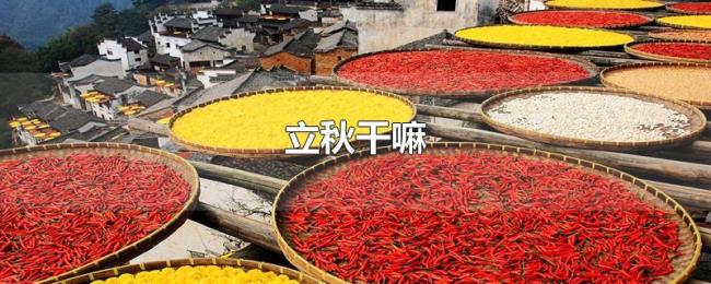 立秋干嘛
