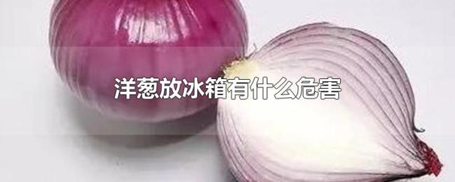 洋葱放冰箱有什么危害 洋葱放冰箱有什么危害