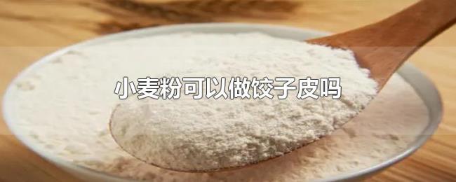 小麦粉可以做饺子皮吗 小麦粉可以做饺子皮吗