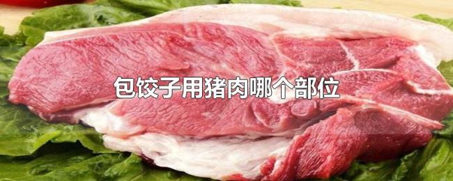 包饺子用猪肉哪个部位 包饺子用猪肉哪个部位