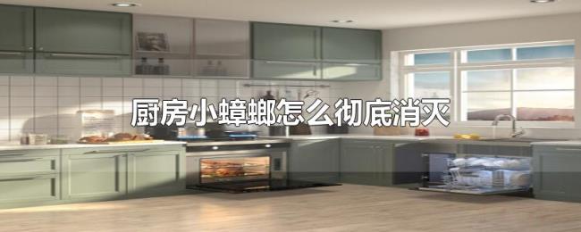 厨房小蟑螂怎么彻底消灭 厨房小蟑螂怎么彻底消灭