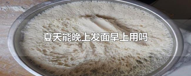 夏天能晚上发面早上用吗