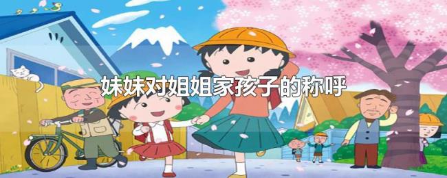 妹妹对姐姐家孩子的称呼