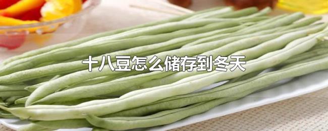 十八豆怎么储存到冬天 十八豆怎么储存到冬天