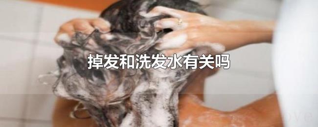 掉发和洗发水有关吗 掉发和洗发水有关吗