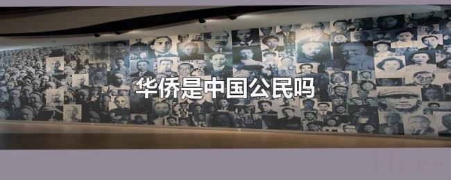 华侨是中国公民吗 华侨是中国公民吗