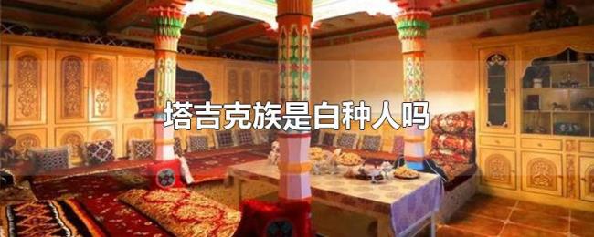 塔吉克族是白种人吗
