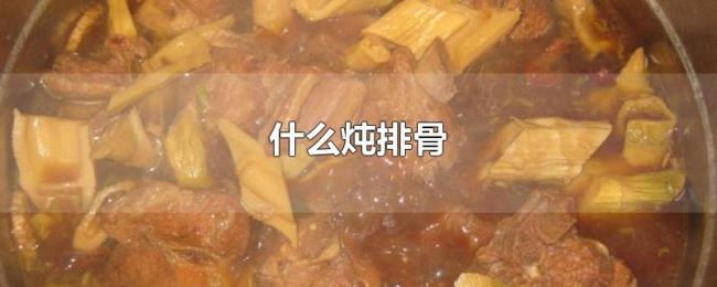 什么炖排骨 什么炖排骨