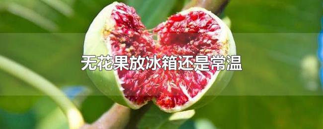 无花果放冰箱还是常温