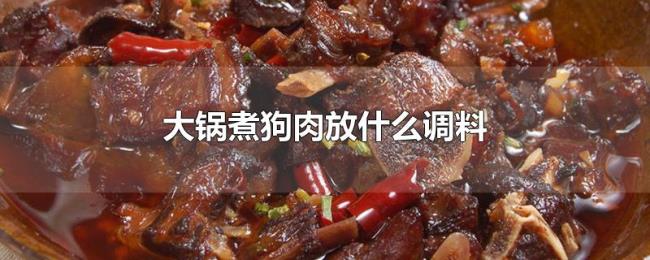 大锅煮狗肉放什么调料 大锅煮狗肉放什么调料