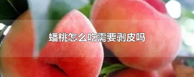 蟠桃怎么吃需要剥皮吗 蟠桃怎么吃需要剥皮吗