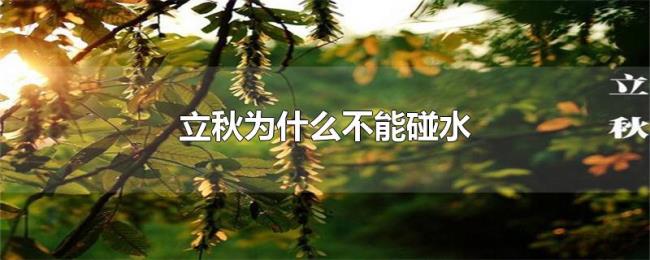 立秋为什么不能碰水