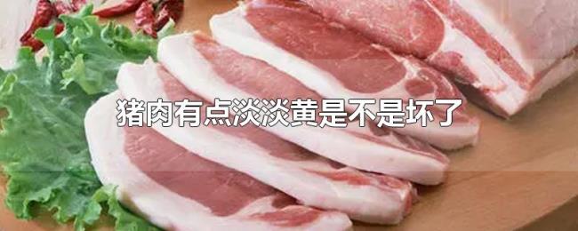 猪肉有点淡淡黄是不是坏了