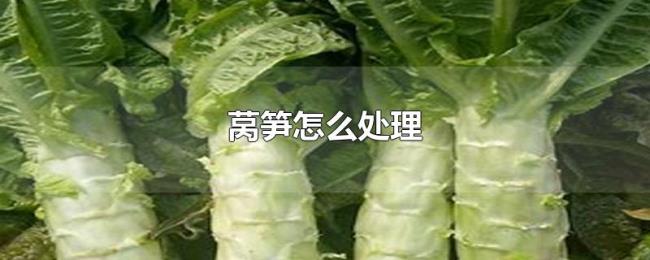 莴笋怎么处理