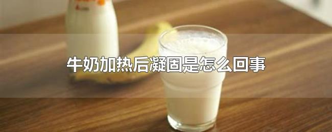 牛奶加热后凝固是怎么回事 牛奶加热后凝固是怎么回事