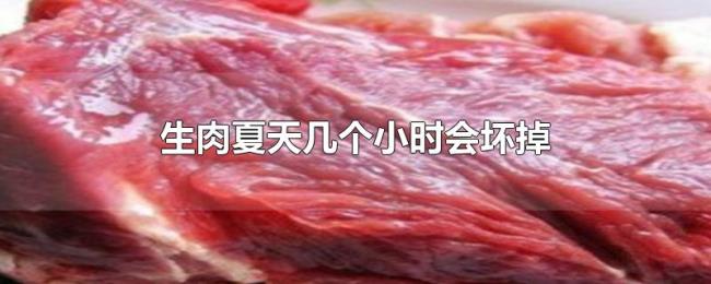 生肉夏天几个小时会坏掉