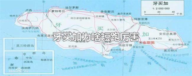牙买加为啥短跑厉害