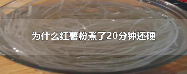 为什么红薯粉煮了20分钟还硬