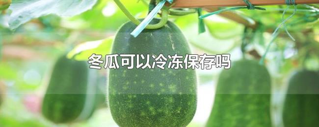 冬瓜可以冷冻保存吗