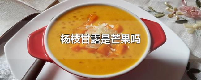 杨枝甘露是芒果吗