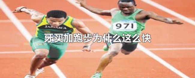 牙买加跑步为什么这么快 牙买加跑步为什么这么快