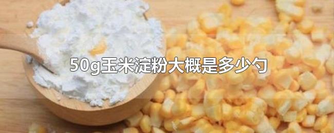 50g玉米淀粉大概是多少勺 50g玉米淀粉大概是多少勺