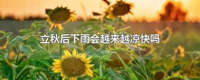 立秋后下雨会越来越凉快吗