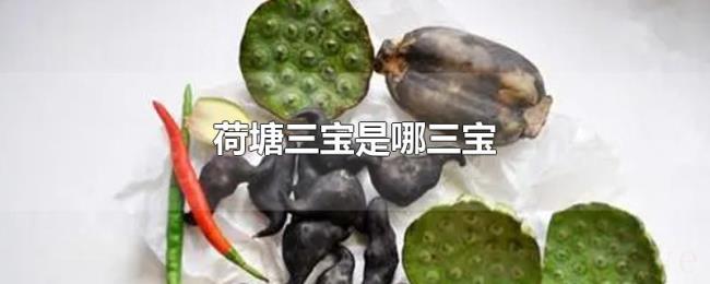 荷塘三宝是哪三宝 荷塘三宝是哪三宝