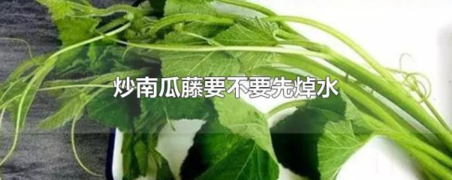 炒南瓜藤要不要先焯水