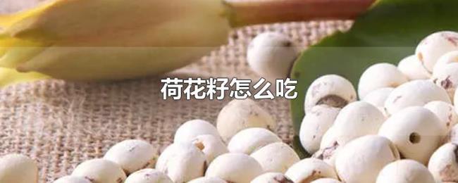 荷花籽怎么吃 荷花籽怎么吃