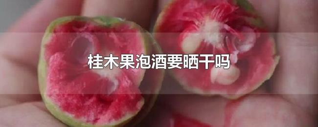 桂木果泡酒要晒干吗 桂木果泡酒要晒干吗