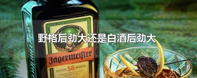 野格后劲大还是白酒后劲大 野格后劲大还是白酒后劲大