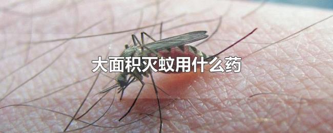 大面积灭蚊用什么药 大面积灭蚊用什么药