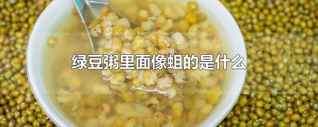 绿豆粥里面像蛆的是什么